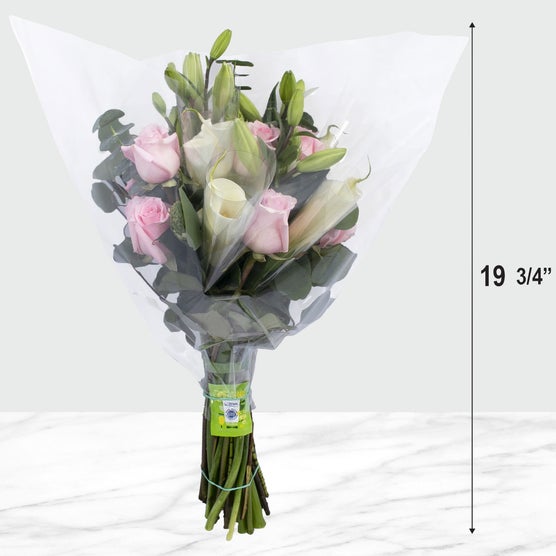 Enlarge Product Preview 3