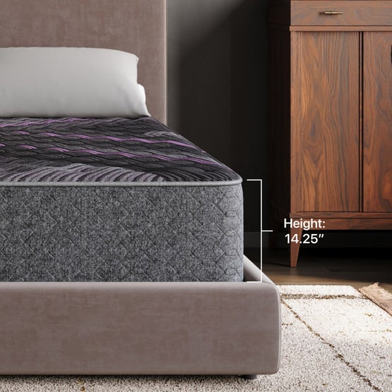 Enlarge Product Preview 3