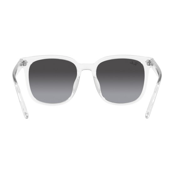 Ray-Ban ORB4401D Sunglasses | Costco