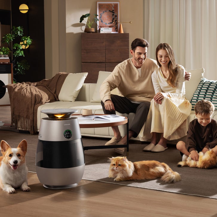 パーフェクトアクアリボーテ Dreame AP10 Pet Air Purifier | Costco