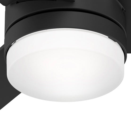 Enlarge Product Preview 6