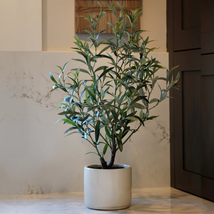 Enlarge Product Preview 4