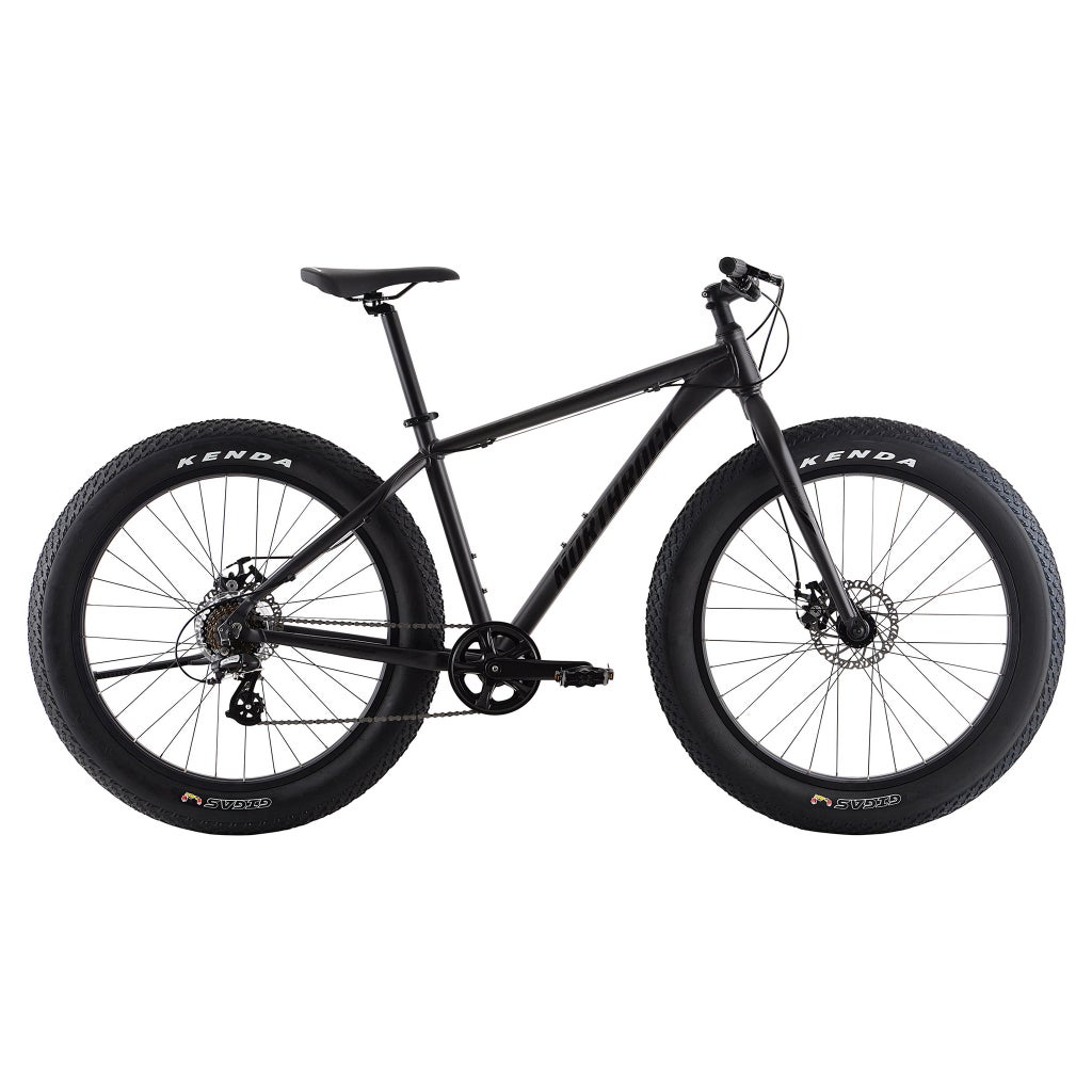 Northrock XC00 Fat Tire Bike | Costco