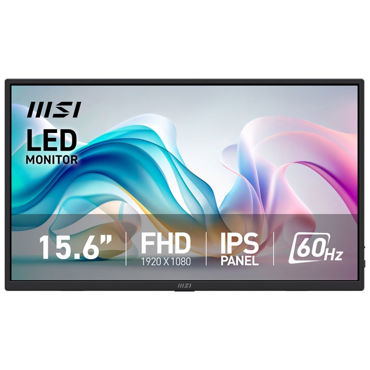 MSI 15.6” FHD IPS 60Hz Portable Monitor | Costco