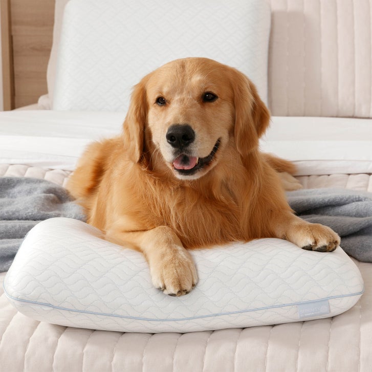 Serenity by Tempur-Pedic Cooling Memory Foam Pillow | Costco