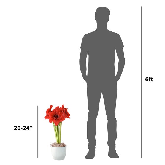Enlarge Product Preview 5