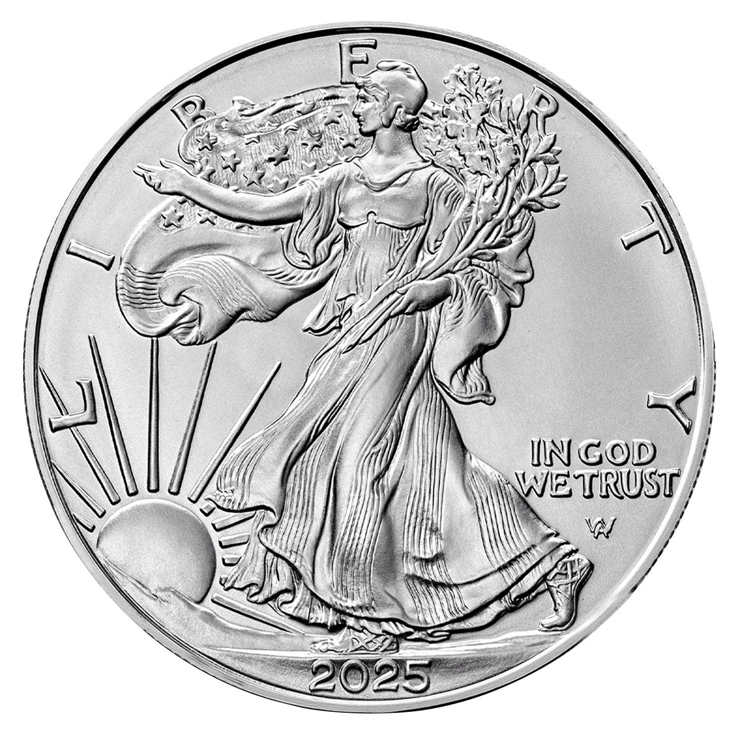2025 1 oz American Eagle Silver Coin, 20-count | Costco