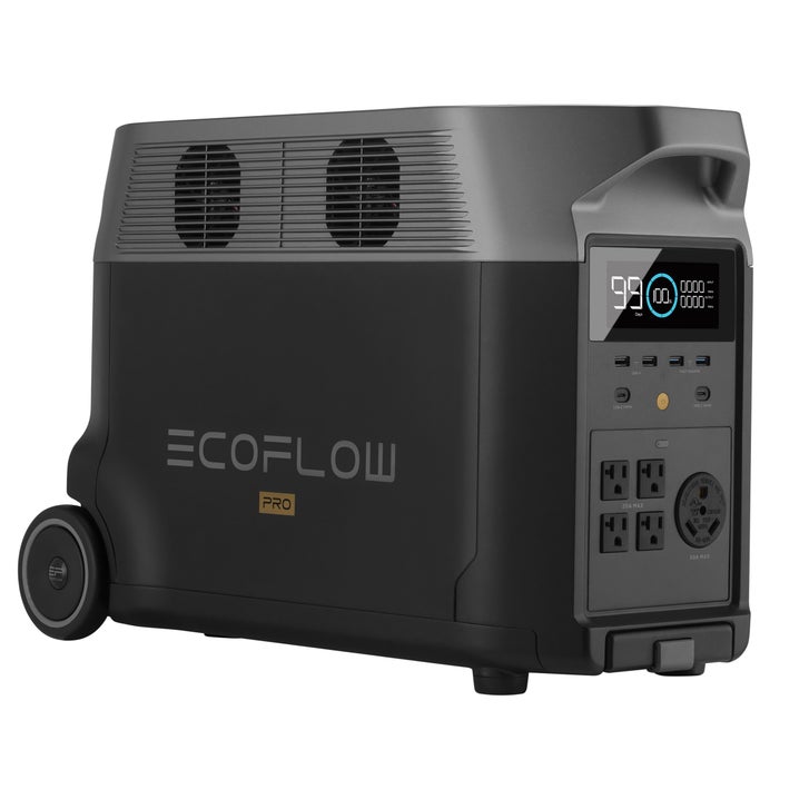 ECOFLOW R370　大容量100000mAh Ecoflow Delta Pro Power Station | Costco