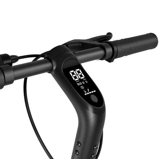 Enlarge Product Preview 6