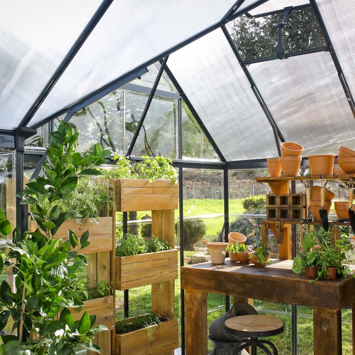 Palram Canopia Victory Orangery 10'x12' Greenhouse and Solarium w