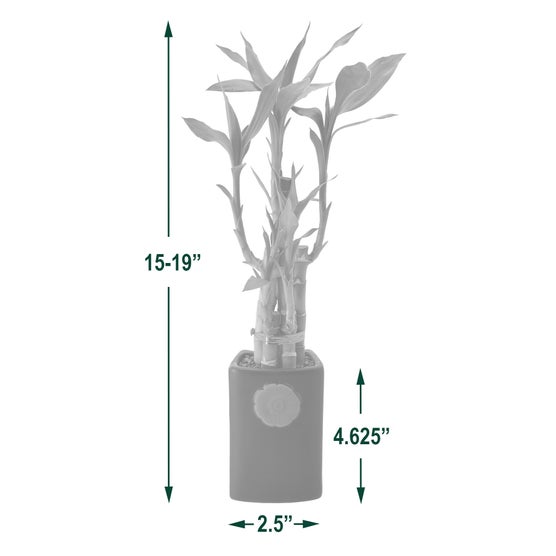 Enlarge Product Preview 4