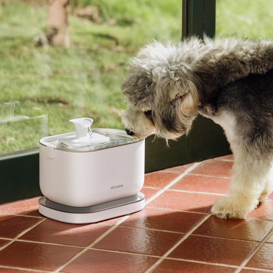 Petlibro Cordless Pet Water Fountain | Costco