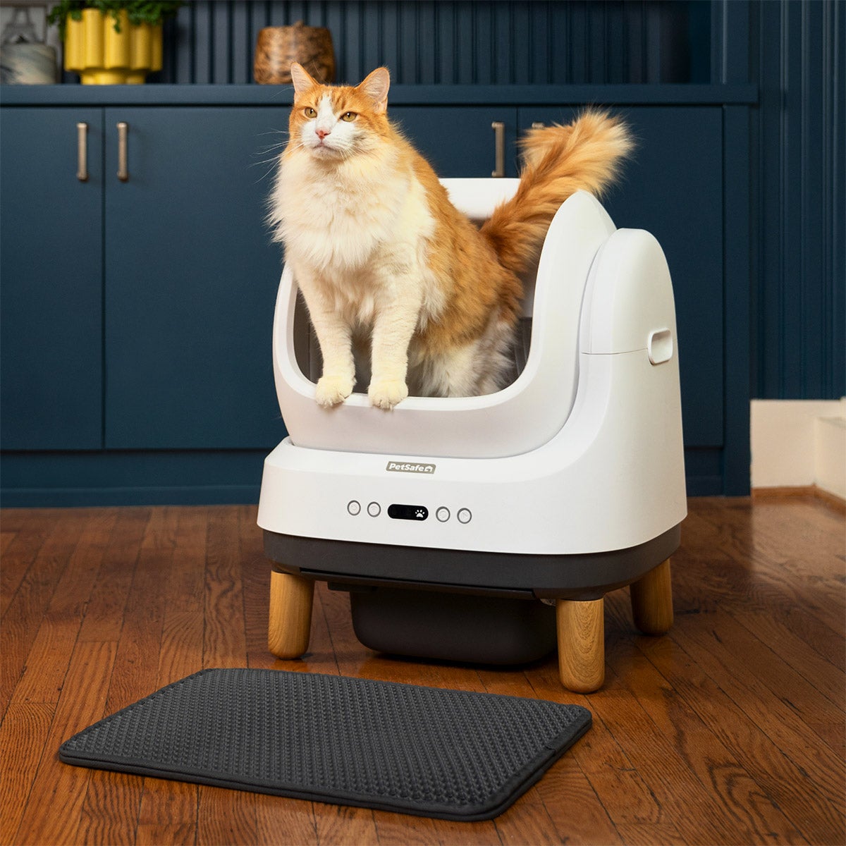 PetSafe ScoopFree OpenSky Self-Cleaning Litter Box, Starter Bundle