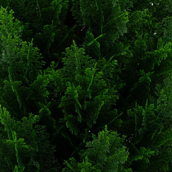 Faux 4' UV Resistant Cedar Tree Indoor and Outdoor, 2-pack | Costco