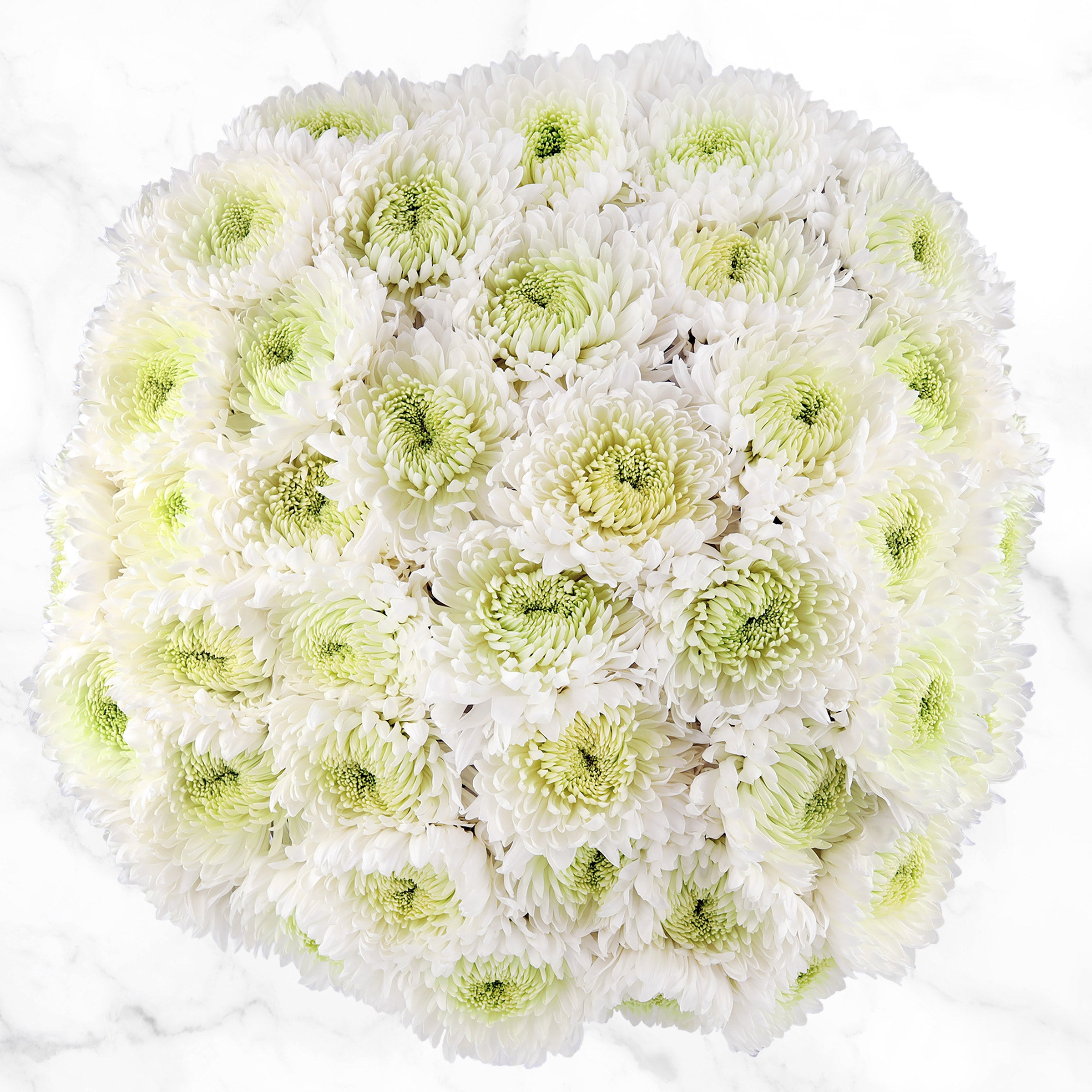 Super Mums Fresh Cut Floral Bouquet, 60-stems | Costco