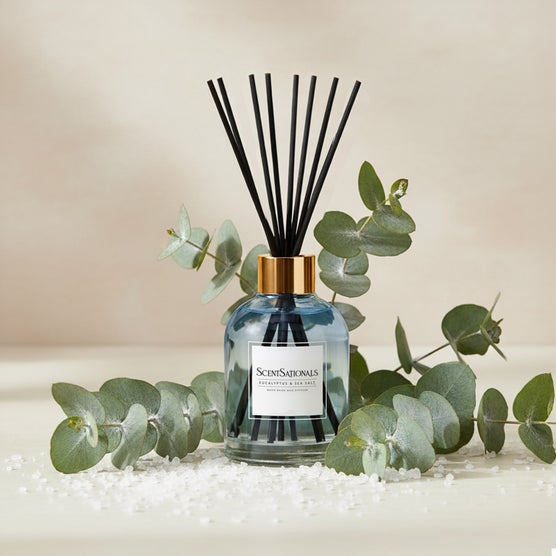 ScentSationals 3-piece Reed Diffuser Set | Costco