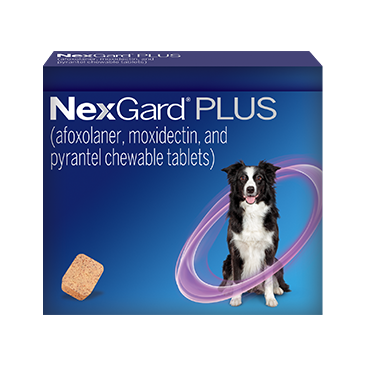 NexGard Plus