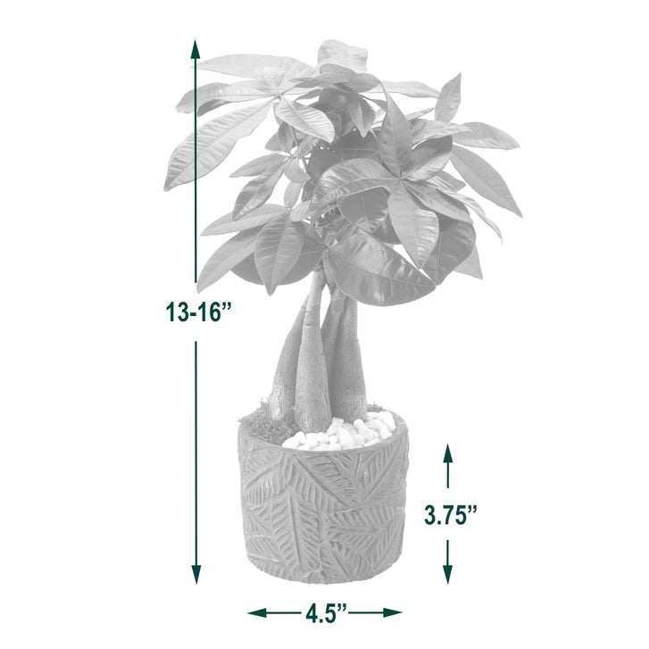 Enlarge Product Preview 5