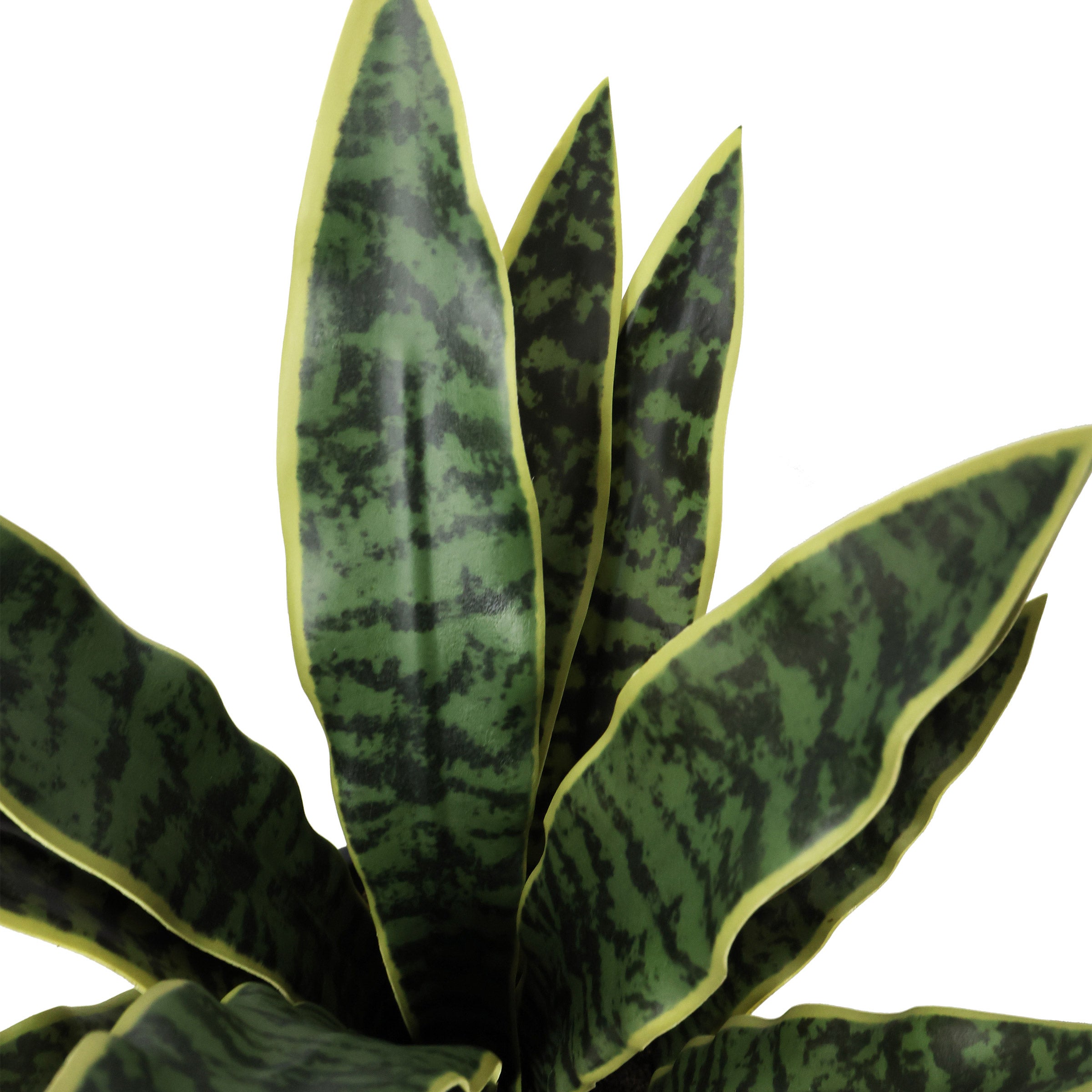 Faux Decorative Plant Trio | Costco