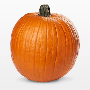 Jumbo Pumpkin