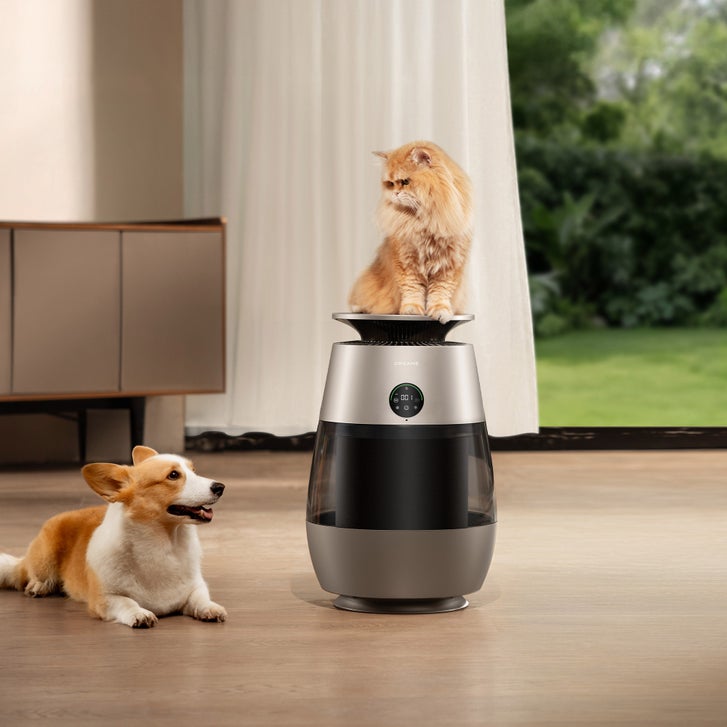 パーフェクトアクアリボーテ Dreame AP10 Pet Air Purifier | Costco