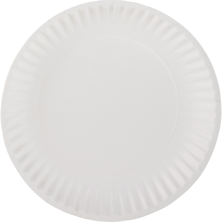 AJM Nature's Own Green Label 9" Paper Plate, White, 1000 ct | Costco