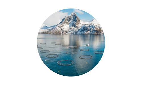 Farming rigs in the ocean surrounded by snowy mountains