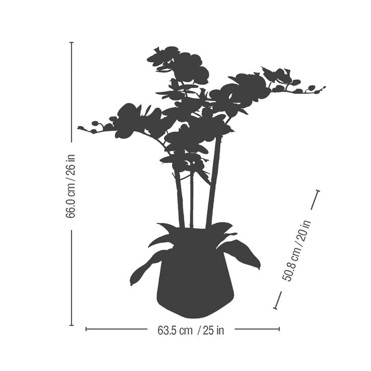 Enlarge Product Preview 7
