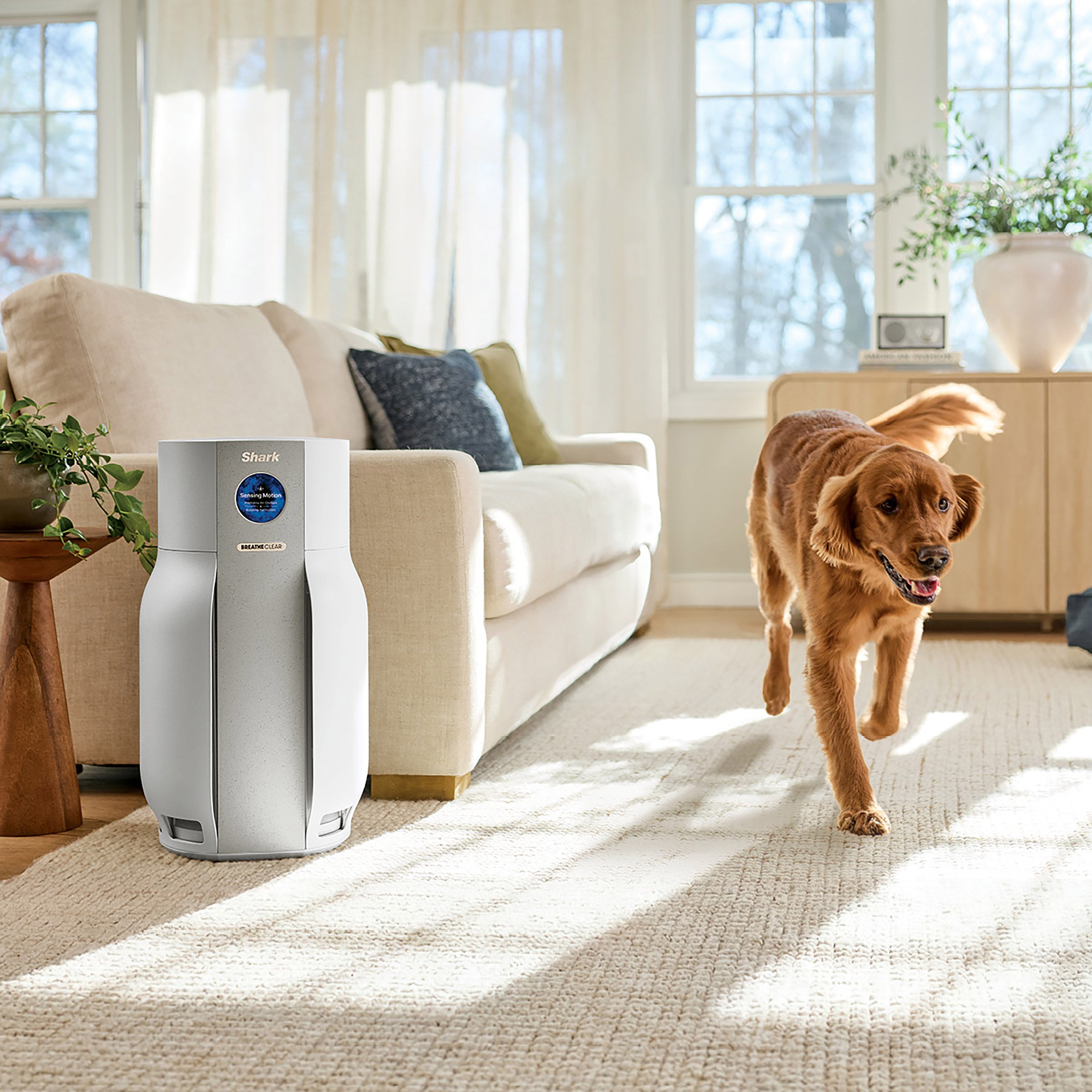 Shark BreatheClear MAX With NeverChange Air Purifier | Costco