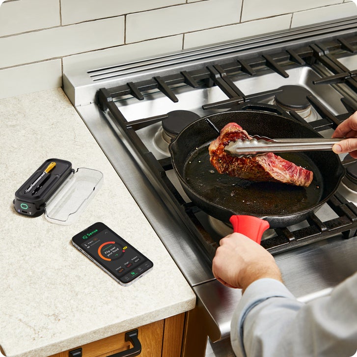 Chef iQ Smart Thermometer and Hub, 2-probe Set | Costco
