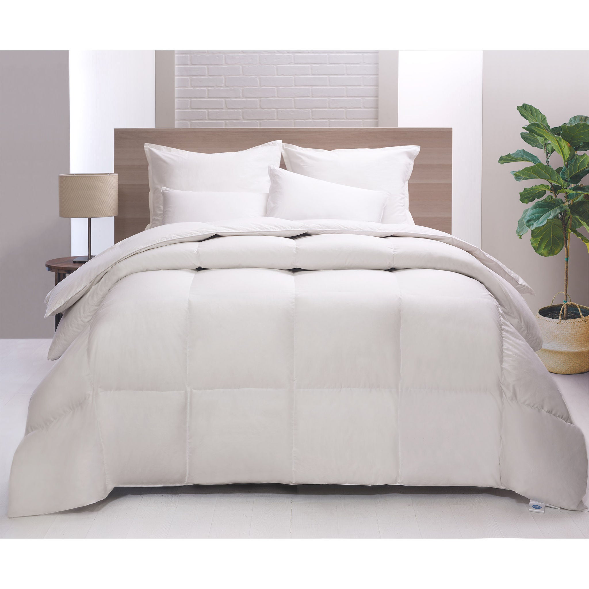 Allied Home RDS White Duck Down Comforter | Costco