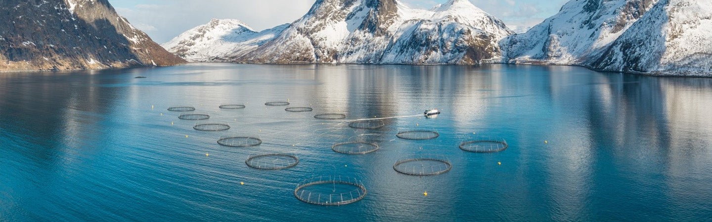 A water farming site in blue water surrounded by snowy peaks