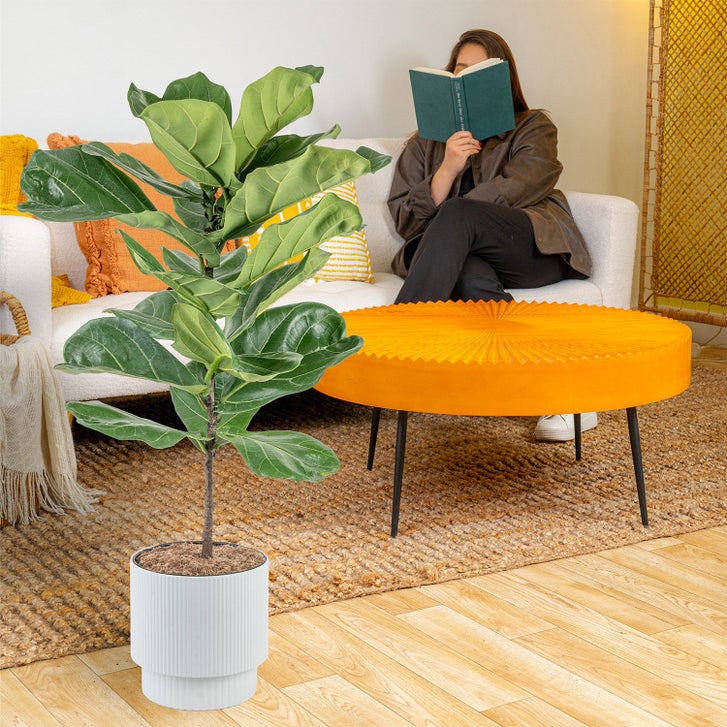 Enlarge Product Preview 4