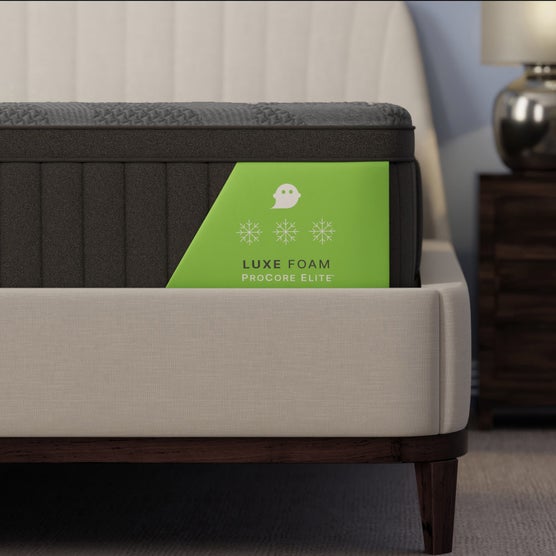 Enlarge Product Preview 5