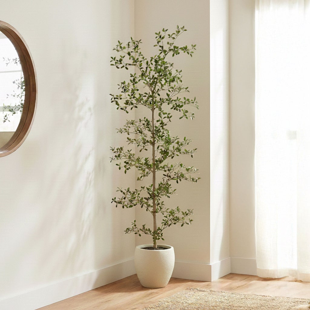 Enlarge Product Preview 1