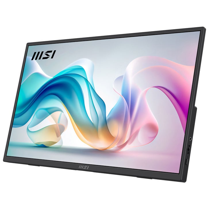 MSI 15.6” FHD IPS 60Hz Portable Monitor | Costco
