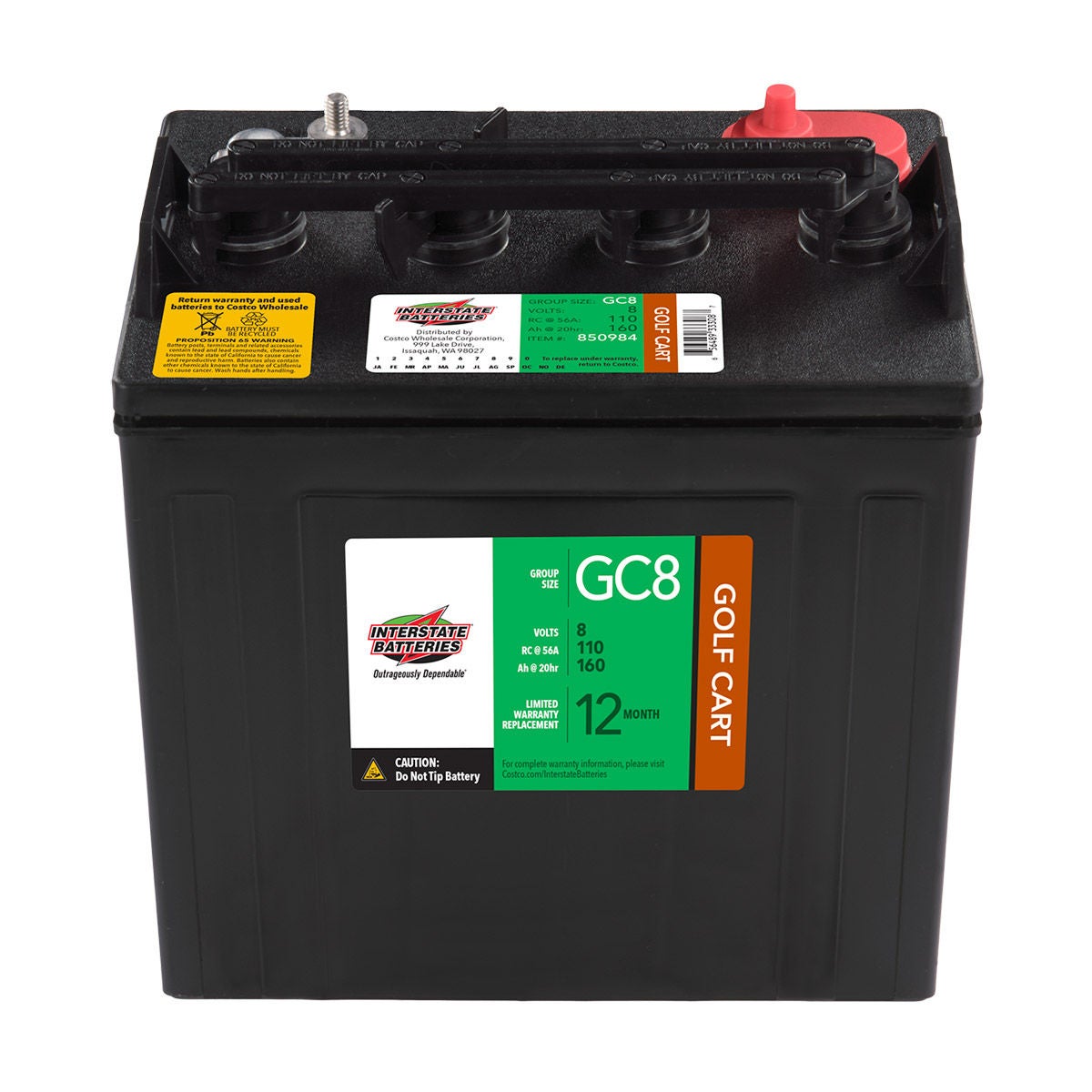 Interstate 8 Volt Golf Cart Battery | Costco