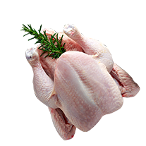 Poultry