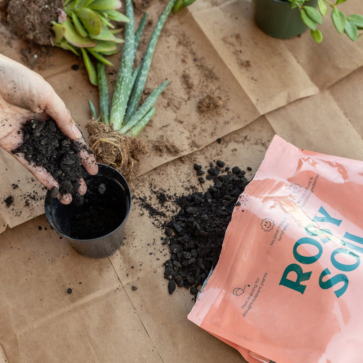 Cactus & Succulent Soil – 4 Quart 3-pack | Costco