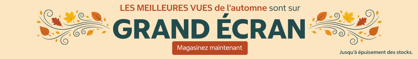 Les meilleures vues de l'automne sont sur grand écran. Magasinez maintenant. Jusqu’à épuisement des stocks.