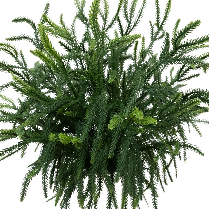 Faux 22