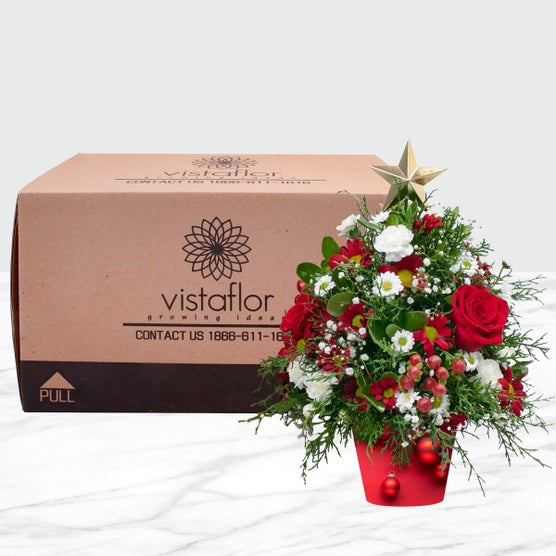 Pre-order O Christmas Tree Arrangement | Costco