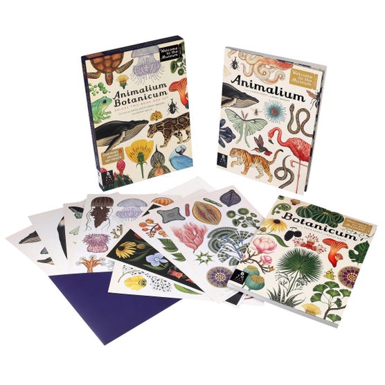 Animalium Botanicum: 2 Book Set | Costco
