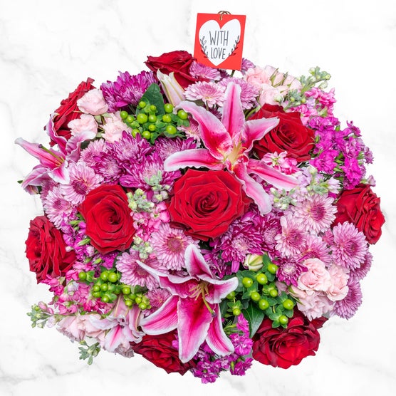 Enlarge Product Preview 2