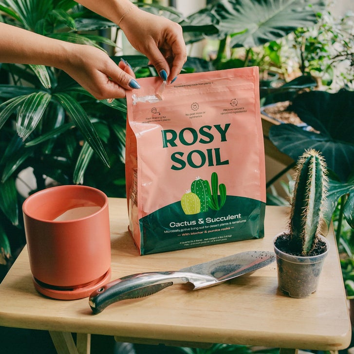 Cactus & Succulent Soil – 4 Quart 3-pack | Costco