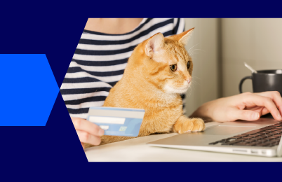 a cat sitting in front of a person's laptop