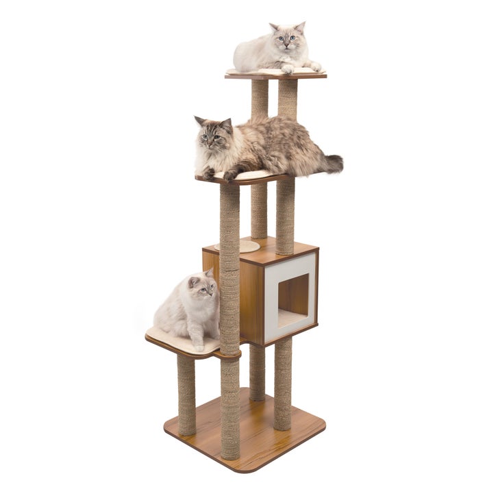 Catit Vesper High Base XL 62 inch Cat Tree, 5 Levels and 1 Condo ...