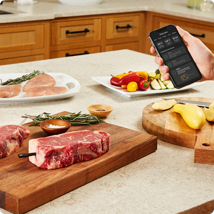 Chef iQ Smart Thermometer and Hub, 2-probe Set | Costco