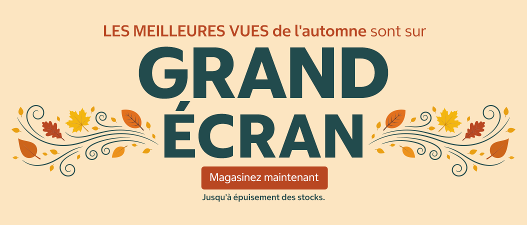 Les meilleures vues de l'automne sont sur grand écran. Magasinez maintenant. Jusqu’à épuisement des stocks.