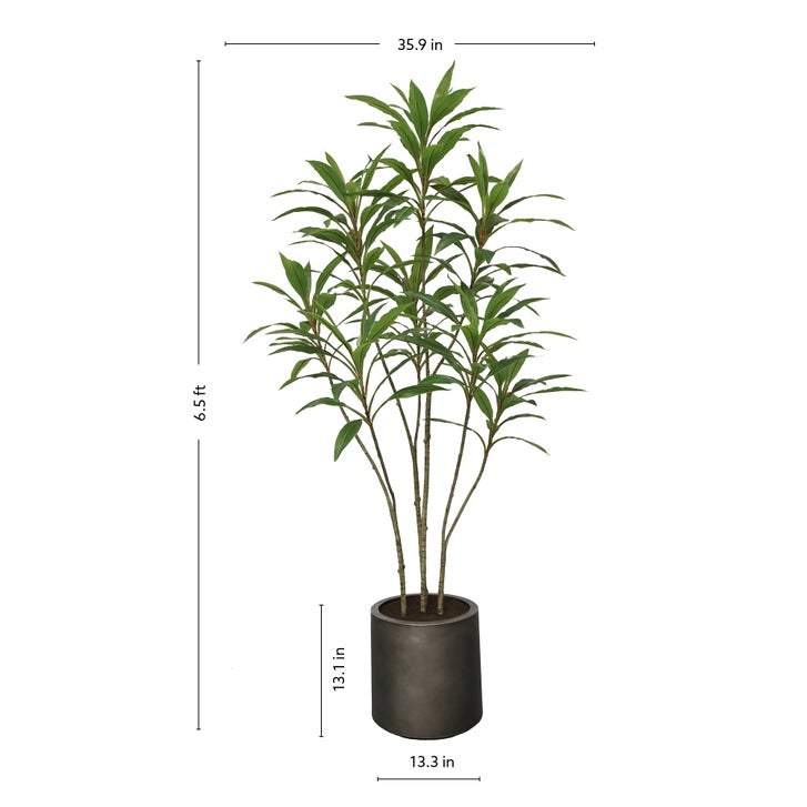 Enlarge Product Preview 3